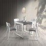 MESA COMEDOR M10
