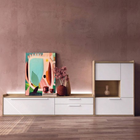 Mueble de TV 102