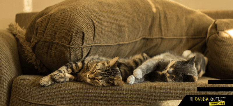 Consejos para mantener limpio tu sofá con mascotas